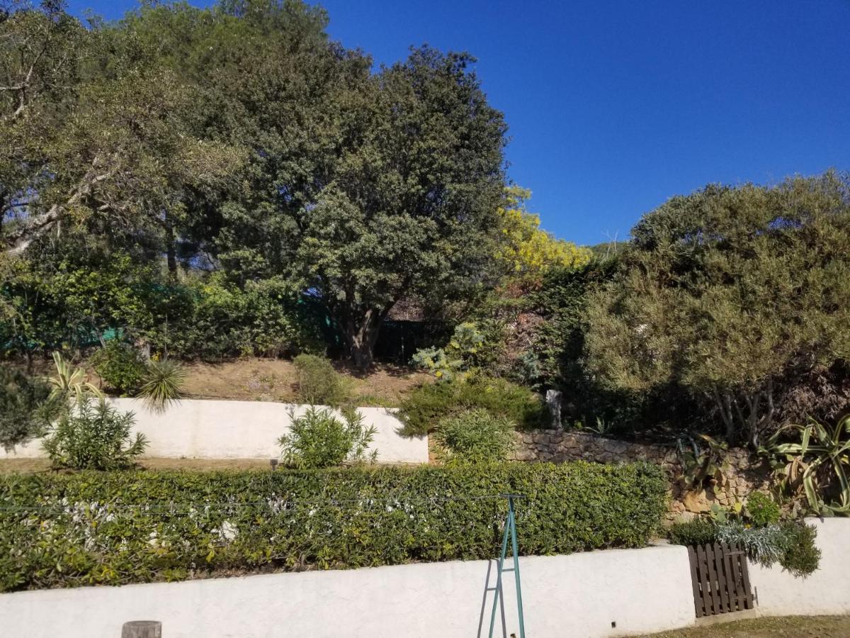 Villa La Louviere La Croix Valmer Golfe De Saint Tropez エクステリア 写真